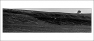 Nome File=17.jpg
Dimensione File=123KB
Dimensioni=850x378
Data aggiunta=Mar 21, 2008 17.jpg