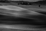 Nome File=17032019eA08A9114~0.jpg
Dimensione File=422KB
Dimensioni=1200x800
Data aggiunta=Gen 14, 2021 17032019eA08A9114~0.jpg