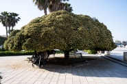 27042025eDSCF4070.jpg