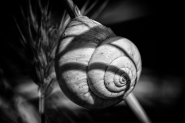 Nome File=30062018eA08A5558.jpg
Dimensione File=397KB
Dimensioni=1200x800
Data aggiunta=Lug 05, 2018 30062018eA08A5558.jpg