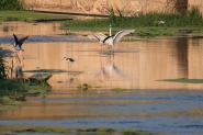 Filename=A08A7916.jpg
Filesize=567KB
Dimensions=1200x800
Date added=Aug 27, 2023 A08A7916.jpg