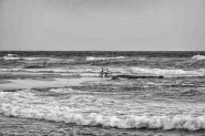 DSCF1416.jpg DSCF1416.jpg