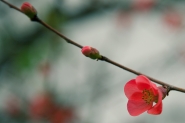 HIMG_63192013.jpg