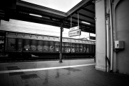 IMG_1698.jpg
