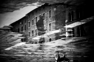 IMG_1717.jpg IMG_1717.jpg
