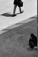 Nome File=duo.jpg
Dimensione File=244KB
Dimensioni=533x800
Data aggiunta=Apr 25, 2007 duo.jpg