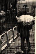 Nome File=rain-sepia.jpg
Dimensione File=260KB
Dimensioni=533x800
Data aggiunta=Gen 17, 2007 rain-sepia.jpg