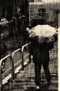 rain-sepia.jpg