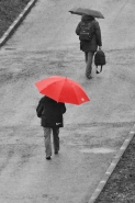 Nome File=rain_red.jpg
Dimensione File=155KB
Dimensioni=533x800
Data aggiunta=Feb 11, 2007 rain_red.jpg