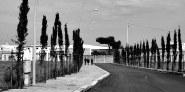 Nome File=viale.jpg
Dimensione File=179KB
Dimensioni=800x400
Data aggiunta=Mag 02, 2007 viale.jpg