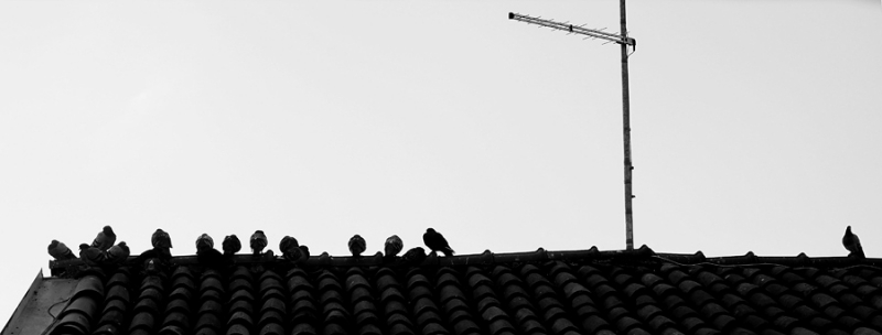 Clicca per l'immagine full size