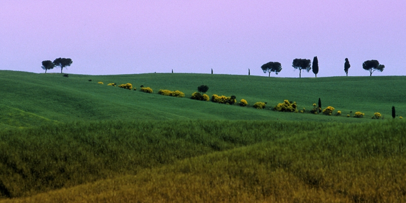Clicca per l'immagine full size