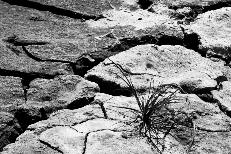 Clicca per l'immagine full size