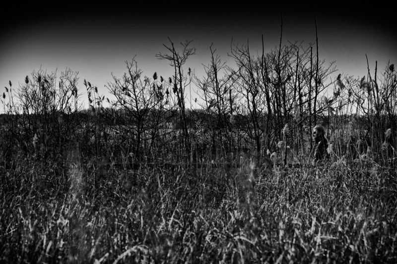 Clicca per l'immagine full size