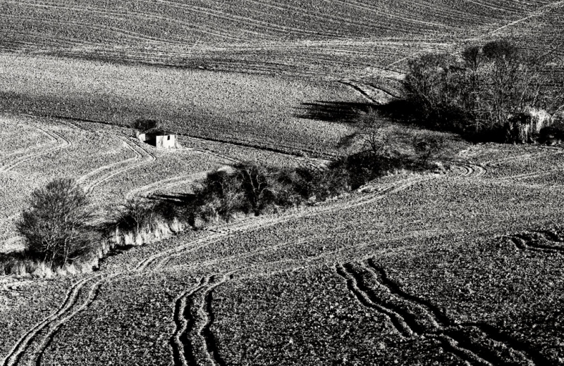 Clicca per l'immagine full size