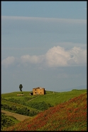 1119981-large.jpg 1119981-large.jpg