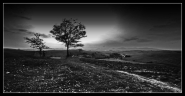 1193481-large.jpg 1193481-large.jpg