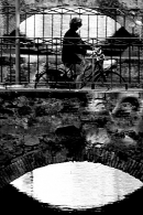 IMG_3288bn.jpg IMG_3288bn.jpg