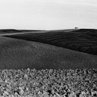 Nome File=a13.jpg
Dimensione File=365KB
Dimensioni=850x850
Data aggiunta=Feb 03, 2009 a13.jpg