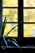 autunno07-2.jpg