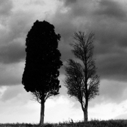 diaorcia1.jpg