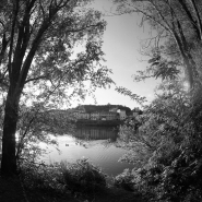 Nome File=fisheye-6x.jpg
Dimensione File=342KB
Dimensioni=800x800
Data aggiunta=Mag 16, 2007 fisheye-6x.jpg