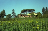 grs3.jpg grs3.jpg