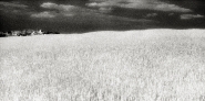 Nome File=infra-1.jpg
Dimensione File=399KB
Dimensioni=1024x514
Data aggiunta=Giu 15, 2008 infra-1.jpg