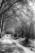 Nome File=infrared-3.jpg
Dimensione File=357KB
Dimensioni=534x801
Data aggiunta=Apr 12, 2008 infrared-3.jpg