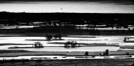 Nome File=pm-1.jpg
Dimensione File=281KB
Dimensioni=937x469
Data aggiunta=Mar 06, 2009 pm-1.jpg