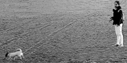 Nome File=sulmare-8.jpg
Dimensione File=256KB
Dimensioni=800x400
Data aggiunta=Gen 17, 2008 sulmare-8.jpg