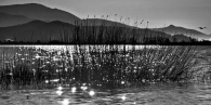 Nome File=tdl-18.jpg
Dimensione File=275KB
Dimensioni=850x425
Data aggiunta=Mar 12, 2009 tdl-18.jpg