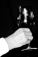 wedding-5.jpg wedding-5.jpg