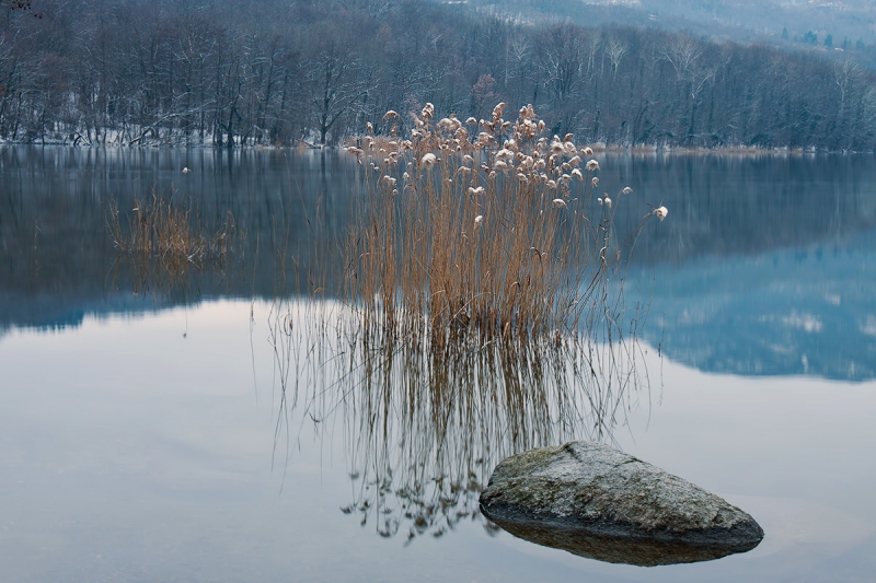 Clicca per l'immagine full size