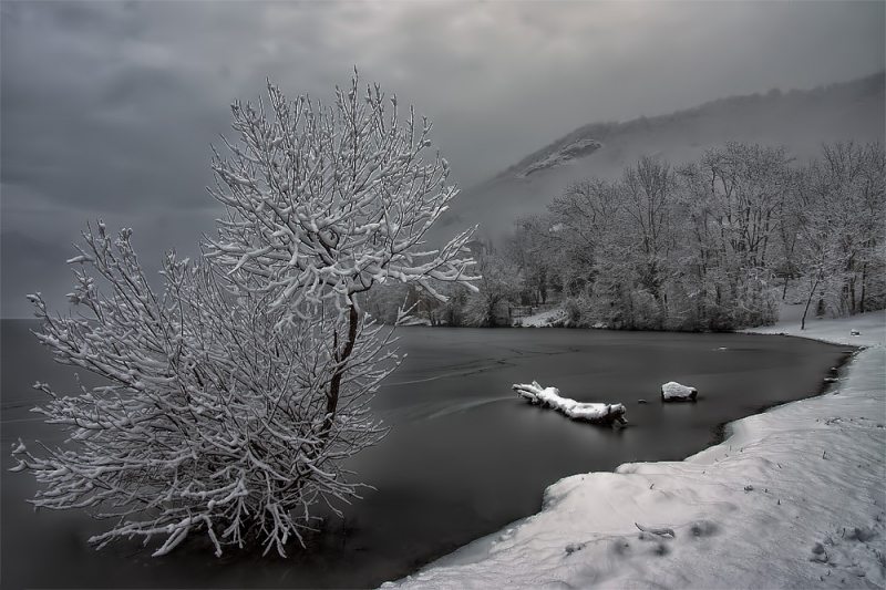 Clicca per l'immagine full size