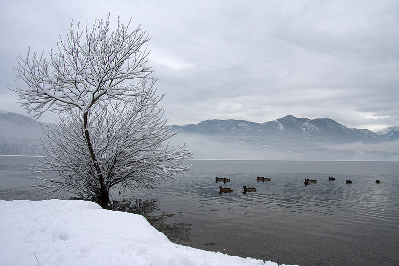 Clicca per l'immagine full size