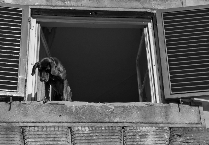 Clicca per l'immagine full size