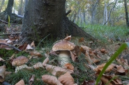 CRW_6495.jpg CRW_6495.jpg