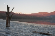 CRW_8020.jpg