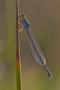 CRW_8981.jpg