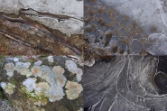 Nome File=In_natura.jpg
Dimensione File=597KB
Dimensioni=1200x800
Data aggiunta=Nov 23, 2014 In_natura.jpg