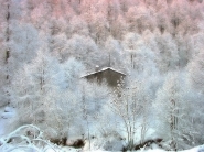 Filename=KIF_3808_1~0.jpg
Filesize=419KB
Dimensions=1024x768
Date added=Feb 19, 2022 KIF_3808_1~0.jpg