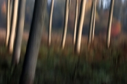 Nome File=calvizia.jpg
Dimensione File=238KB
Dimensioni=1000x667
Data aggiunta=Nov 10, 2011 calvizia.jpg