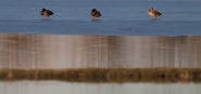 Nome File=senza_parole.jpg
Dimensione File=264KB
Dimensioni=1200x565
Data aggiunta=Gen 09, 2015 senza_parole.jpg