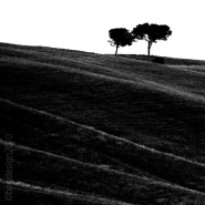 Nome File=duePINIqBN.jpg
Dimensione File=128KB
Dimensioni=567x567
Data aggiunta=Set 12, 2010 duePINIqBN.jpg
