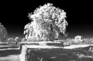 Nome File=falsoIR.jpg
Dimensione File=227KB
Dimensioni=722x480
Data aggiunta=Gen 16, 2008 falsoIR.jpg