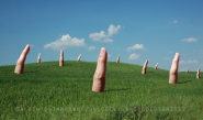 fingersfield-.jpg