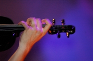 purpleviol.jpg purpleviol.jpg