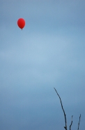 redballoons.jpg redballoons.jpg