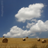 Nome File=rotNUVqua.jpg
Dimensione File=148KB
Dimensioni=680x680
Data aggiunta=Lug 18, 2010 rotNUVqua.jpg